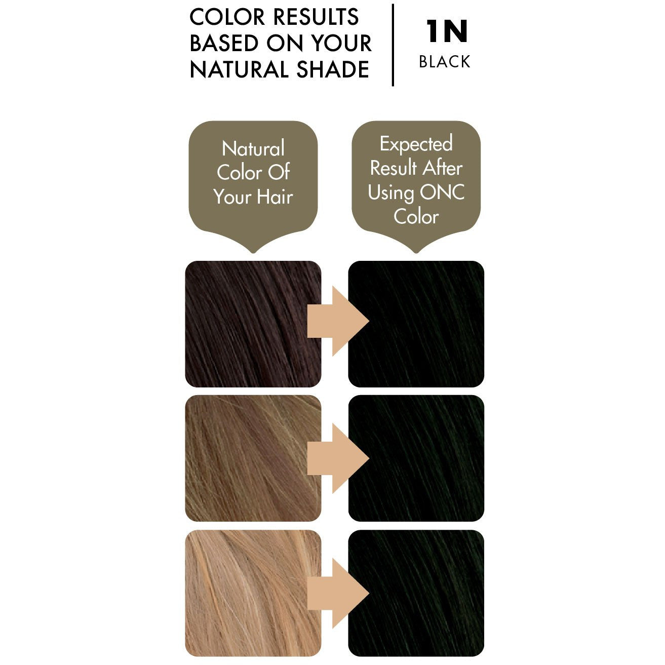 ONC 1N Natural Black Hair Dye With Organic Ingredients 120 mL / 4 fl. oz. Color Result