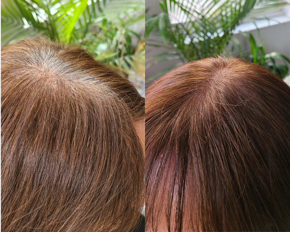 ONC NATURALCOLORS 6CA Caramel Heat Activated Hair Dye With Organic Ingredients 120 mL / 4 fl. oz. before and after